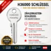 H36000 Schlüssel für Zählerkastensperre Oberösterreich,Kundensperre Stromzählerkasten H36000